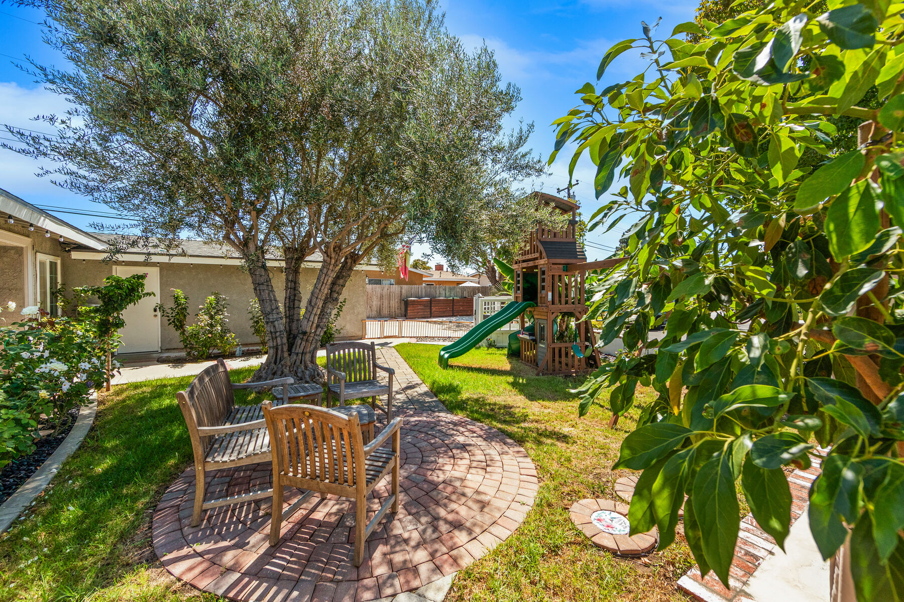 Olive Tree Patio
